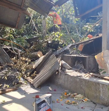 Pura di Pucangan Rusak Tertimpa Dahan Beringin
