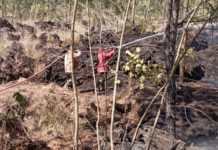 Respon Damkar Kasus Kebakaran di Kintamani Melebihi SOP, Ini Alasannya