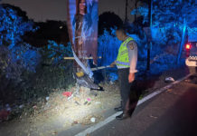 Tabrak Pohon, Pemotor Asal Sanur Meninggal