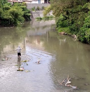 Tinggi Muka Air Sungai Bali Turun Tajam, Yeh Mawa Anjlok 98 Persen