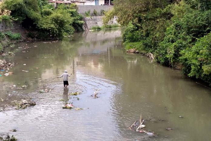 Tinggi Muka Air Sungai Bali Turun Tajam, Yeh Mawa Anjlok 98 Persen 1