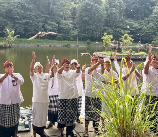 Tumpek Uye Dirayakan Serentak di Bali, Dari Vaksinasi Rabies hingga Pelepasan Satwa