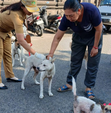 Vaksinasi Emergency di Wilayah Positif Rabies