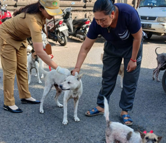 Vaksinasi Emergency di Wilayah Positif Rabies