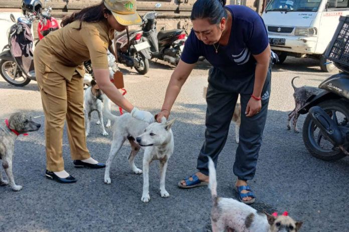 Vaksinasi Emergency Di Wilayah Positif Rabies 1