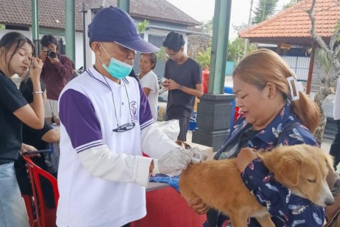 Vaksinasi Rabies Tembus Angka 93,51 Persen, Distan Gencarkan KIE Dan Bidik Anjing Liar 1
