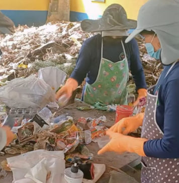 12 TPS3R Tak Beroperasi, DLH Tabanan Petakan Penyebabnya