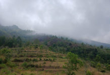18 Hektare Hutan di Bukit Kembar Datah Karangasem Terbakar