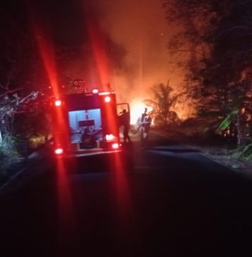 50 Hektare Lahan di Pekutatan Terbakar, Semalaman Berjibaku Baru Bisa Dipadamkan