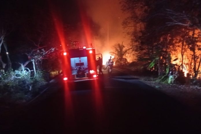 50 Hektare Lahan Di Pekutatan Terbakar, Semalaman Berjibaku Baru Bisa Dipadamkan 1