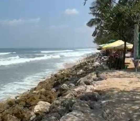 Abrasi Gerus 215,82 Kilometer Garis Pantai Bali