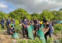 Aksi Bersih di Mangrove Pesanggaran Kumpulkan 3,56 Ton Sampah