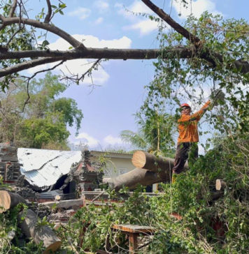Angin Kencang, Rumah dan Palinggih di Tangguwisia Rusak Tertimpa Pohon