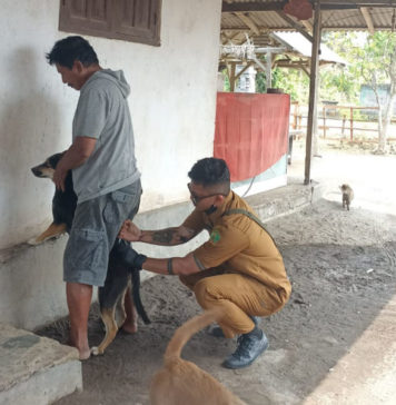 Anjing yang Gigit 2 Warga Sumbersari Positif Rabies