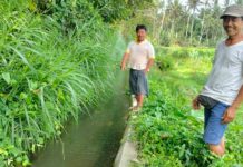 BWS Bali Penida Selesaikan Rehabilitasi 68 Daerah Irigasi di 7 Kabupaten pada 2025, Telan Anggaran Rp134 Miliar