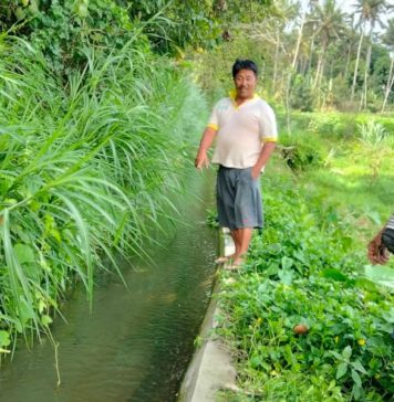 BWS Bali Penida Selesaikan Rehabilitasi 68 Daerah Irigasi di 7 Kabupaten pada 2025, Telan Anggaran Rp134 Miliar