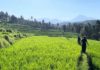 Desa Bengkel Matangkan Persiapan Jadi Desa Wisata, Target Launching 2027