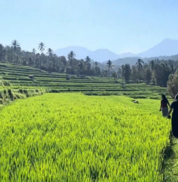 Desa Bengkel Matangkan Persiapan Jadi Desa Wisata, Target Launching 2027