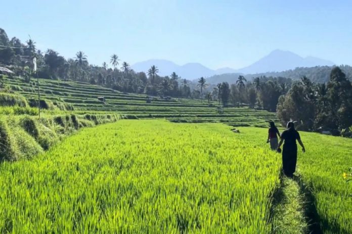 Desa Bengkel Matangkan Persiapan Jadi Desa Wisata, Target Launching 2027 1