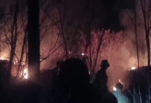Diduga Dipicu Puntung Rokok, Hutan TWA di Blok Seked Terbakar