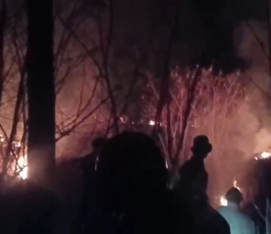 Diduga Dipicu Puntung Rokok, Hutan TWA di Blok Seked Terbakar