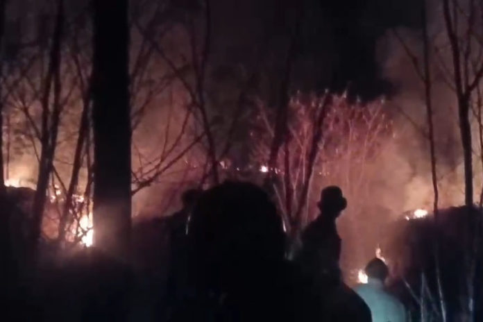 Diduga Dipicu Puntung Rokok, Hutan TWA Di Blok Seked Terbakar 1