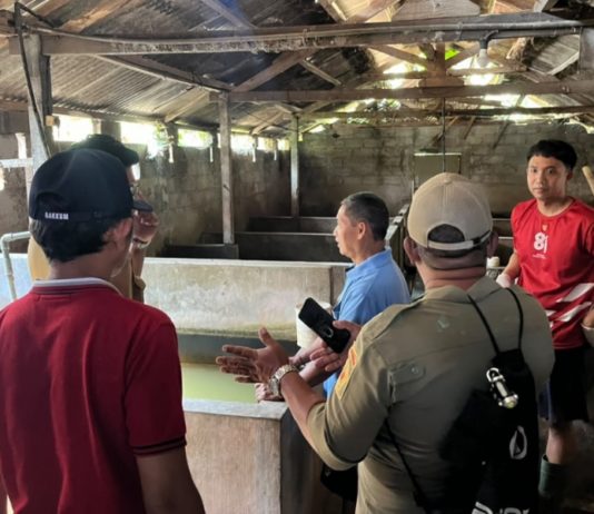 Dikeluhkan Warga Bau Menyengat, Peternakan Babi di Blangsinga Disidak Polisi dan DLH