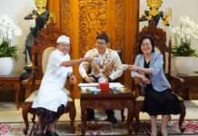 Gubernur Koster Sambut Tawaran Kerja Sama Ningxia Hui, Jajaki Kolaborasi Pariwisata hingga Energi Hijau