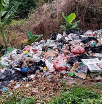Jalan Lama Samsam Jadi TPS Liar, DLH Angkut Tiga Truk Sampah