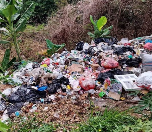 Jalan Lama Samsam Jadi TPS Liar, DLH Angkut Tiga Truk Sampah