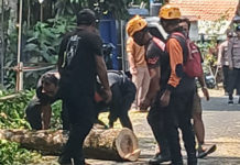 Jelang Musim Hujan, BPBD Tabanan Siapkan Tambahan BTT Rp 2 Miliar