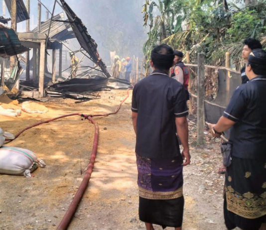 Kandang Ayam Warga di Ambiansemal Terbakar, Kerugian Miliaran Rupiah
