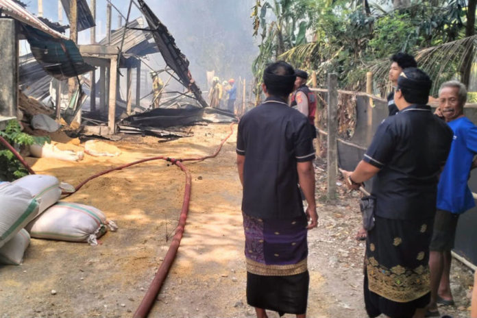 Kandang Ayam Warga Di Ambiansemal Terbakar, Kerugian Miliaran Rupiah 1