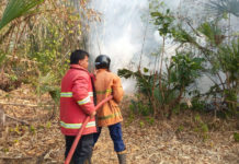 Kebakaran Hanguskan Lahan Bambu 15 Are di Lelateng