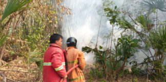 Kebakaran Hanguskan Lahan Bambu 15 Are di Lelateng