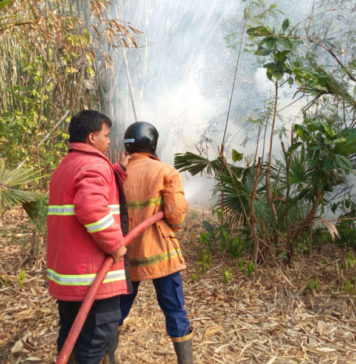 Kebakaran Hanguskan Lahan Bambu 15 Are di Lelateng