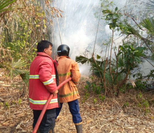 Kebakaran Hanguskan Lahan Bambu 15 Are di Lelateng