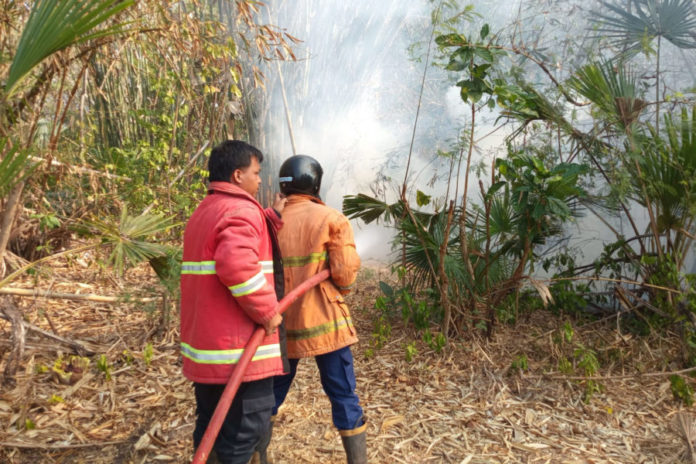 Kebakaran Hanguskan Lahan Bambu 15 Are Di Lelateng 1