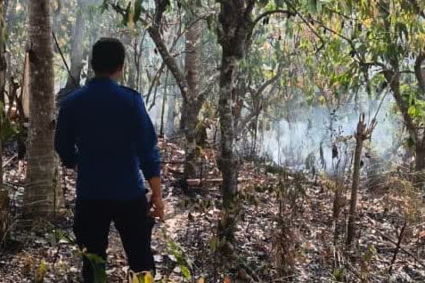 Kebakaran Hanguskan Perkebunan di Melaya dan Mendoyo