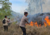 Kebakaran Hutan di Kintamani, Armada Damkar Sempat Kehabisan Air