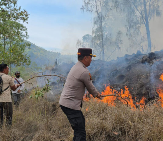 Kebakaran Hutan di Kintamani, Armada Damkar Sempat Kehabisan Air