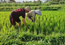 Kenaikan LP2B 91,69 Persen, PHRI Harap Tak Kehilangan Ruang Investasi Pariwisata di Karangasem