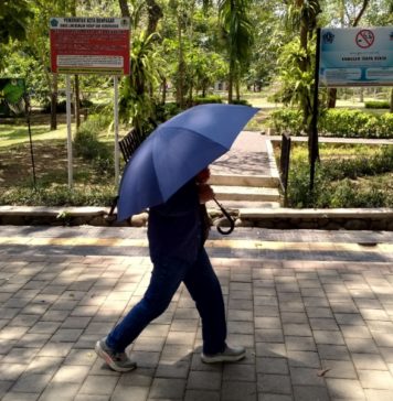 Kualitas Udara Denpasar Sempat Dinyatakan Tidak Sehat, Ini Penjelasan BPBD