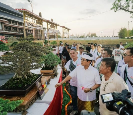 Padukan Seni dan Kelestarian Alam, Pemkab Badung dan PPBI Sukses Gelar Kontes Bonsai Skala Nasional