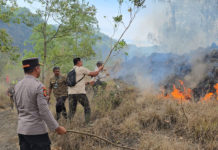 Penempatan Damkar di Kintamani Terkendala Personel