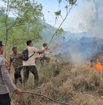 Penempatan Damkar di Kintamani Terkendala Personel