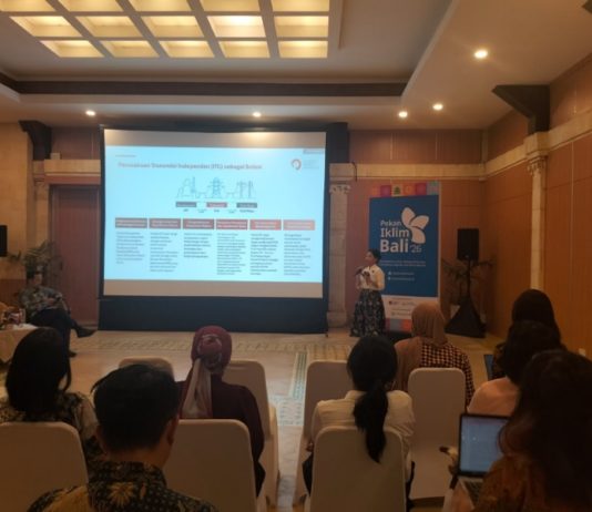 PLN akan Libatkan Swasta dalam Penguatan Transmisi, NZE Bali Berpeluang Dipercepat