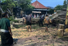 Beringin Ratusan Tahun Tumbang, Bale Pegongan Pura Pemaksaan Sengkidu Alami Kerusakan
