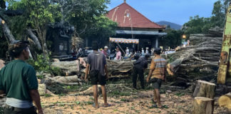 Beringin Ratusan Tahun Tumbang, Bale Pegongan Pura Pemaksaan Sengkidu Alami Kerusakan