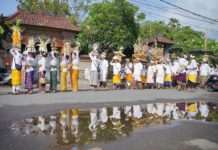 Purnama Kalima, Desa Adat Kusamba Gelar Ngusaba Segara lan Ngusaba Nini
